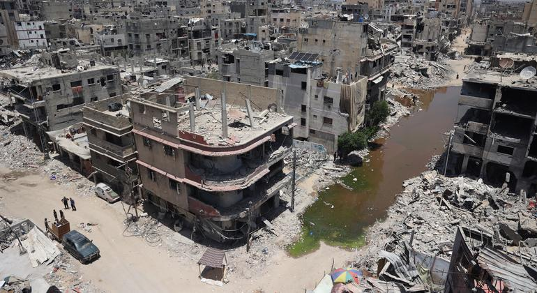 和平、正义与强大机构课程配图